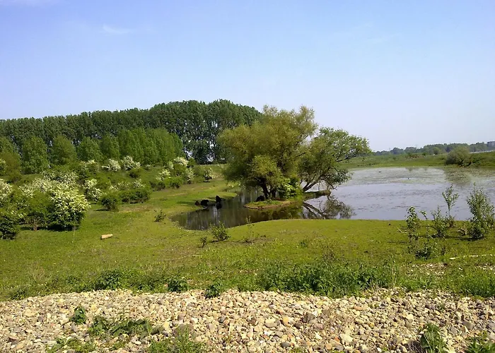 Near The Belgian Border דירה Roosteren