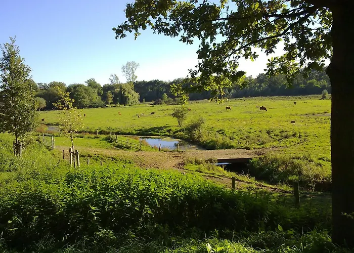 דירה Near The Belgian Border Roosteren